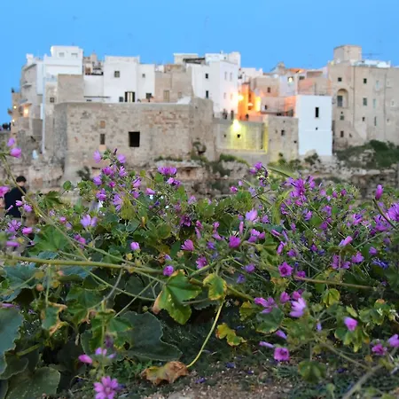 Lumarosa Homes Apartment Polignano a Mare